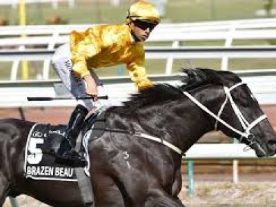 Brazen Beau Progeny Storming The Northern Hemisphere Too Image 1