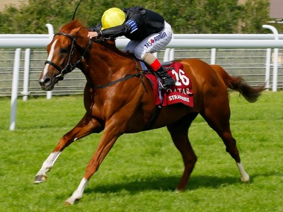 Stradivarius faces tough challenge with Cross Counter and So ... Image 1