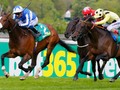 Royal Ascot Tilt In The Wings For Bangkok