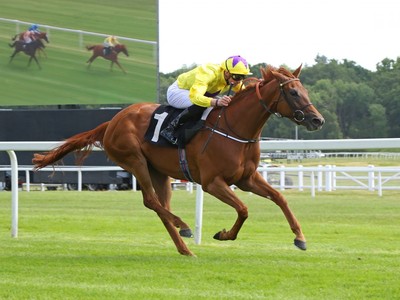 Preview: Gr.1 Prince Of Wales's Stakes (Racing Post, Racing  ... Image 1