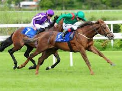 Preview: Gr.1 Queen Anne Stakes (Racing Info, Racing Result, ... Image 3