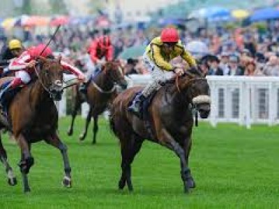 Review: Day Two – Royal Ascot Image 4