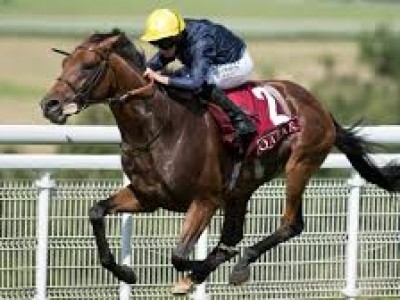 Review: Day Two – Royal Ascot (race Result, Race Video, Race ... Image 2