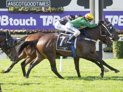 Breeding The Best Of Black Type Winners At Yarradale Image 1