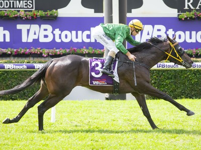 Breeding The Best Of Black Type Winners At Yarradale Image 2