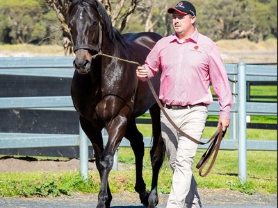 Geisel Park Stud: Breeding On The Perfect Farm Image 2