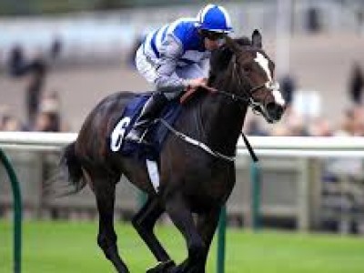 Frankel Son Eminent Retired To New Zealand Image 1