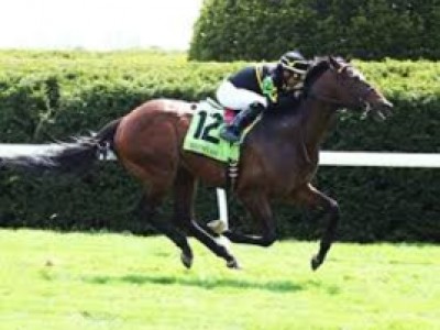 Preview: Diamond Jubilee Stakes (Racing Post, Racing Result, ... Image 3