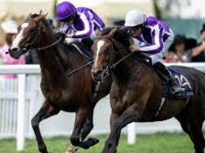 Review: Day 4 - Royal Ascot (Race Result 2019, Race Video 20 ... Image 1