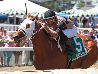 Shamrock Rose Named Pennsylvania-Bred Horse of 2018 Image 2