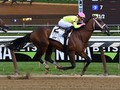 Shamrock Rose Named Pennsylvania-Bred Horse of 2018