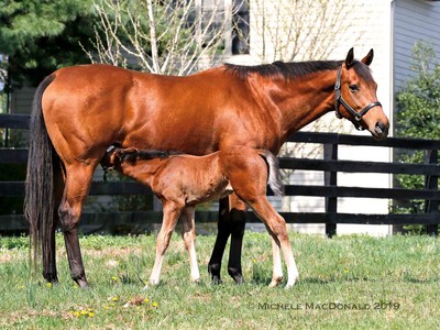 Lady Eli, A Transformed Mother Image 1