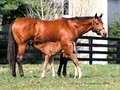 Lady Eli, A Transformed Mother