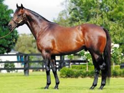 Winx to Visit I Am Invincible for First Mating Image 1