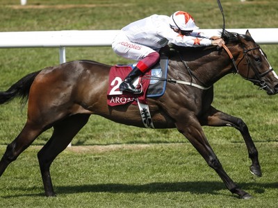 Martin Meade Trained-Advertise Pointed At July Cup Image 1