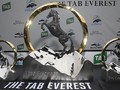 Flower's Everest slot put to tender