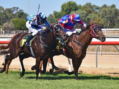 Snitzel Daughter Breaks Online Thoroughbred Auction Record Image 2