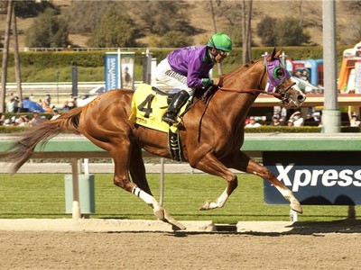 California Chrome Not Returning To Chile In 2019 Image 1