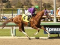 California Chrome Not Returning To Chile In 2019