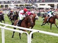 Laccario Romps To Victory In The Deutsches Derby