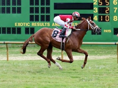 Henleys Joy, Concrete Rose to Continue Into The US$5.25 NYRA ... Image 1