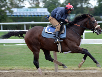 Preservationist Enters Breeders’ Cup Classic Rankings Image 1