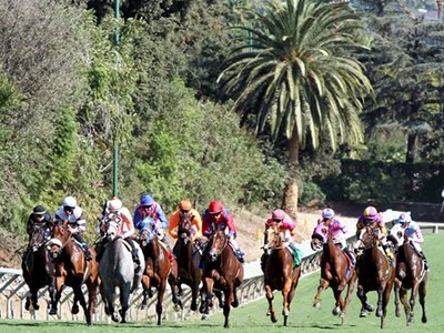 Santa Anita Creating New Solutions From Old Adversities Image 1