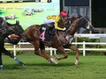 Sun Stud Marshall To Victory In Singapore Derby