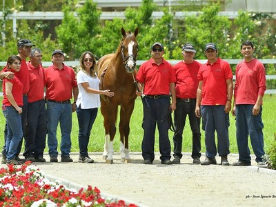 California Chrome's Life Of Luxury In Chile Image 1