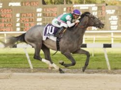 Tacitus Gets Ready For Gr.2 Jim Dandy Stakes Image 1