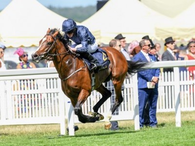 Preview: Gr.1 King George VI And Queen Elizabeth Stakes (Run ... Image 2