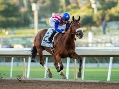 Serengeti Empress, Bellafina and Covfefe headline Gr.1 Test  ... Image 2