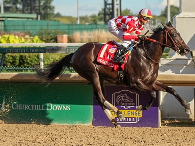 Serengeti Empress, Bellafina and Covfefe headline Gr.1 Test  ... Image 1