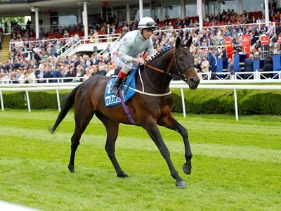 Review: Gr.1 Goodwood Cup (Race Video 2019, Race Result 2019 ... Image 2