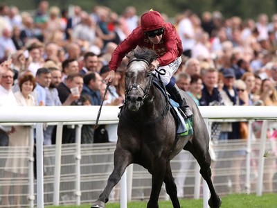 Roaring Lion Fighting To Recover After Second Colic Surgery Image 1