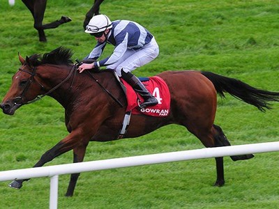 Review: Gr.1 Sussex Stakes (Race Video 2019, Race Result 201 ... Image 2