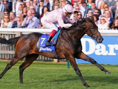 Review: Gr.1 Sussex Stakes (Race Video 2019, Race Result 201 ... Image 1