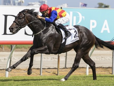 Everest Contender Pierata and The Historic Hobartville. Image 1