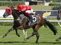 Redzel: A Breeding Gone Right