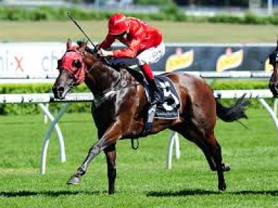 McEvoy Positive About Redzel After First Trial Image 1