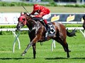 McEvoy Positive About Redzel After First Trial