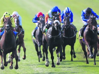 Review: Gr.1 Shergar Cup ( Horses, Racecard, 2019 Video) Image 2