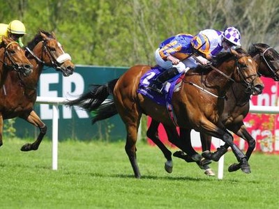 Galileo Colts Top Arqana August Opener Image 1