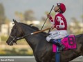 Midnight Bisou And Elate Slated To Clash Again in Personal Ensign