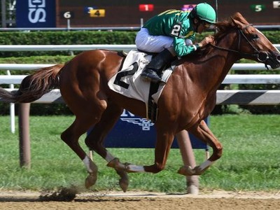 Review: Gr.1 Travers Stakes 2019 ( Horses, Racecard, 2019 Vi ... Image 1