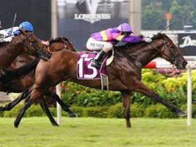 Karaka Grad Countofmontecristo Romps To Win In Singapore Mer ... Image 1