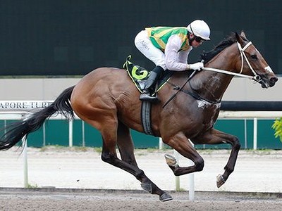 Karaka Grad Countofmontecristo Romps To Win In Singapore Mer ... Image 2