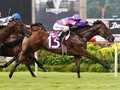 Karaka Grad Countofmontecristo Romps To Win In Singapore Merlion