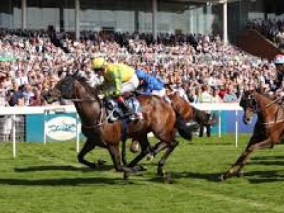 Australian Bloodstock Buys Ebor Winner Mustajeer For Caulfie ... Image 1