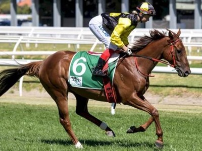 Material Man Set For Gr.1 Memsie Image 1